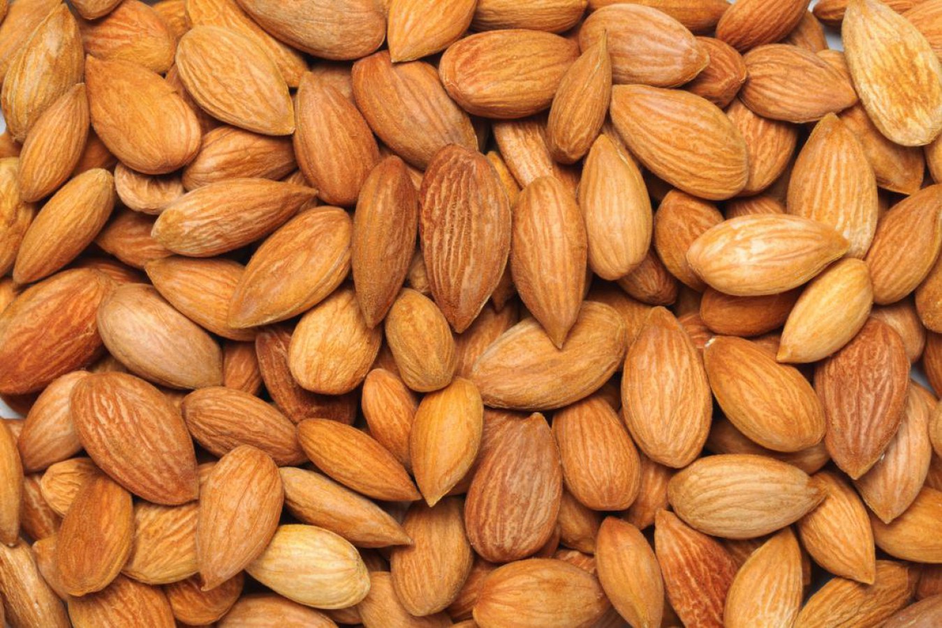 Image Ciri-Ciri Kacang Almond